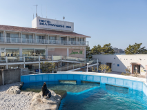 横浜・八景島シーパラダイス内にある唯一のホテルです！
一部のシーパラダイス側のお部屋からはシーパラの風景やふれあいラグーンにいる動物たちの様子をご覧いただけます！