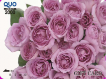 ２０００円クオカード