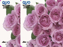 ４０００円クオカード