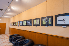 【ロビー】＝ノースシティギャラリー＝大自然と野生動物を捉えた開放感ある素敵な写真をお楽しみください。