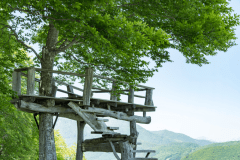 ✿[Kids' Day] Kitaone Kogen Highland Summer Vacation Plan  &mdash; Dinner: A. Italian Cuisine Course (8 dishes)