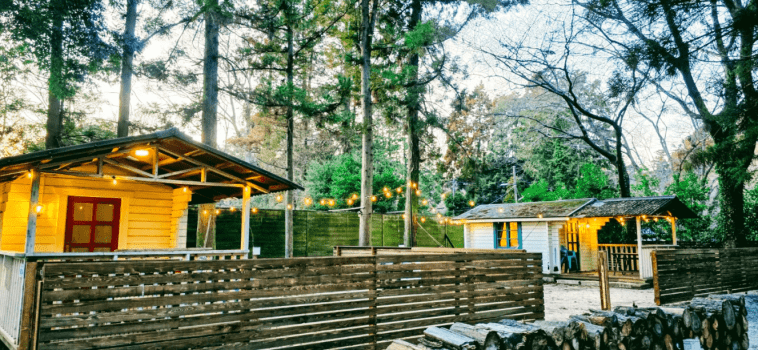 【WC-Ｄ】ウォークインログキャビンwithドッグ