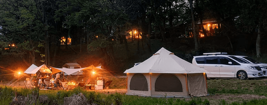 オートインテントサイトラージＡ-36