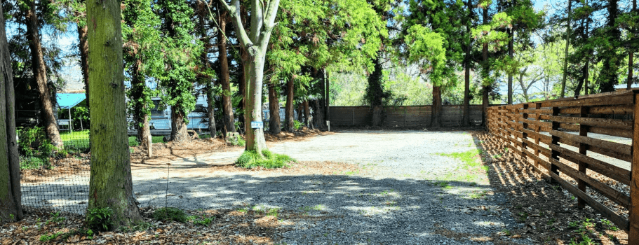 【AT-AL-1】オートインテントサイト電源付き　ラージ　Ａ-9