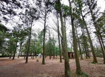 【AT-R】オートインテントサイトレギュラー