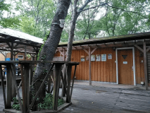 【BBQ場】【レギュラー会場】16:00~20:00/1~10名様お席