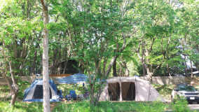 キャンプサイトは雑木林に囲まれた林間サイトです！電源はございません。