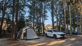 【AT-A】オートインテントサイト電源付き