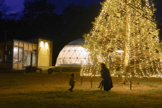 ◆期間限定◆《イルミネーション＆グランピングステイ♪》～小学6年生までのお子様の宿泊料が無料！さらにイルミネーショントレインの乗車券付き！～【1泊2食付き】