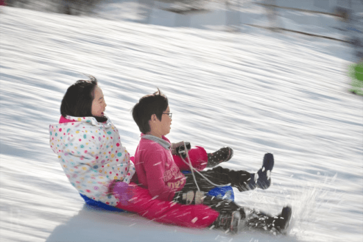 《冬限定⛄》4名以上で1人9,800円＋特別価格のリフト券！～雪山と湖畔ドームで過ごす冬のお得旅～【素泊まり/お持ち込み・お食事選択可】