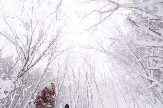 《冬限定⛄》4名以上で1人9,800円＋特別価格のリフト券！～雪山と湖畔ドームで過ごす冬のお得旅～【素泊まり/お持ち込み・お食事選択可】