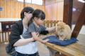お子様と遊びつくすテーマパーク！那須どうぶつ王国「入園券」付ファミリープラン♪