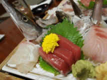 お造り皿盛一例