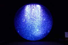 加茂水族館（イメージ）