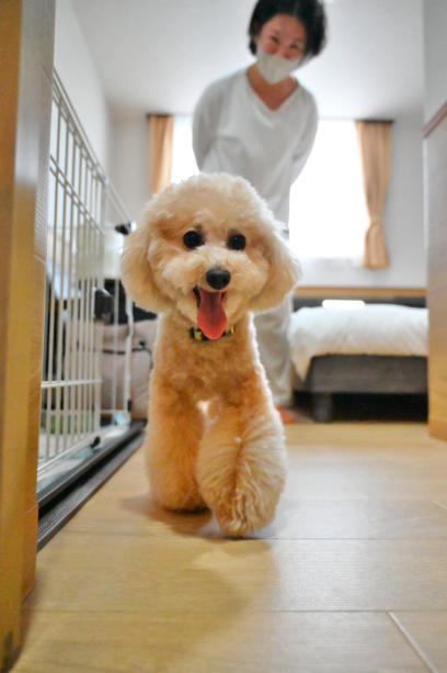 愛犬と一緒のお部屋にご宿泊♪客室数限定！【朝マック200円券付き】