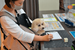 【禁煙】ペットフレンドリールーム　２名利用キングベッド１台