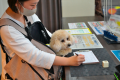 愛犬と一緒のお部屋にご宿泊♪客室数限定！【朝マック200円券付き】