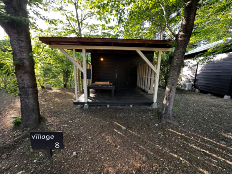 village  8