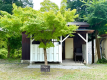 village  11