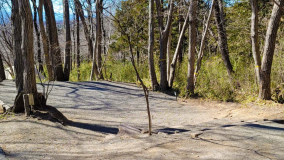 【L2】ロングサイト