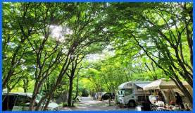 【B1】ブルー区画サイト