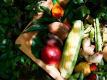 [Site officiel uniquement] <Meilleur tarif> Savourez une cuisine raffinée et des vins raffinés en éveillant vos cinq sens. Détendez-vous dans un cadre luxueux et paisible avec une cuisine française créative et une source chaude privée.