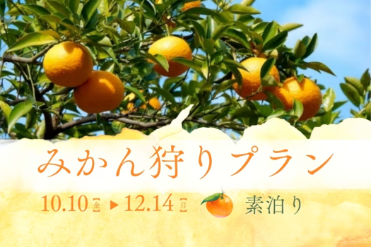 【みかん狩り体験付き】〈素泊まり〉秋旅！源泉かけ流しの湯に癒される自由なひととき