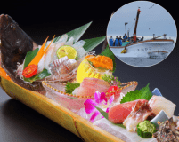 自社所有の漁船から届く極上の鮮魚盛合せ