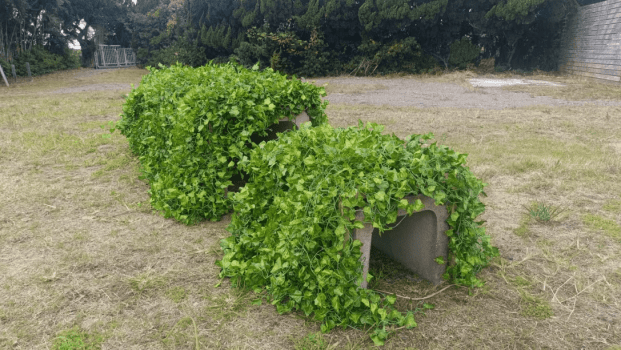 【DOG CAMP SITE 柵付きドッグラン持ち込み・電源なしプラン】自分のキャンプギアで楽しむ柵付きプライベートサイト