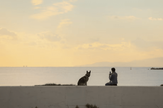 【DOG CAMP SITE 柵付きドッグラン持ち込み・電源なしプラン】自分のキャンプギアで楽しむ柵付きプライベートサイト