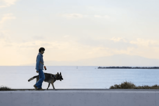 【月火金のみ1日2サイト限定｜平日半額特別プラン】GREEN SITE 持込みプラン　リーズナブルな芝区画サイト／電源付き