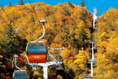【札幌国際スキー場】紅葉時期に特別運行されるゴンドラ。山頂からは遠く石狩湾が一望できる 【札幌国際スキー場】紅葉時期に特別運行されるゴンドラ。山頂からは遠く石狩湾が一望できる