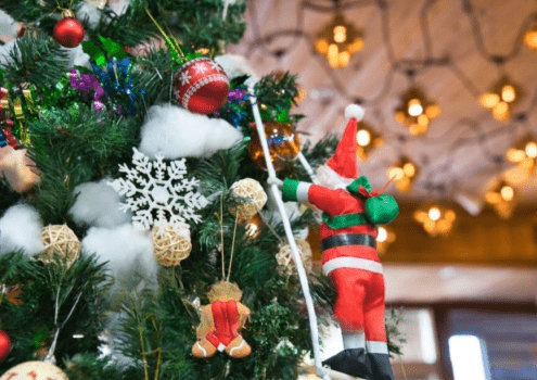 【1泊2食付き】🎄クリスマス限定(12/11 〜12/25)🎅〜聖夜を彩る、冬のプレミアムアウトドア体験〜