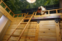 ロフトに登って楽しめる♪