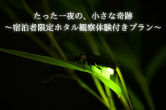 〜宿泊者限定ホタル観察体験付きプラン〜