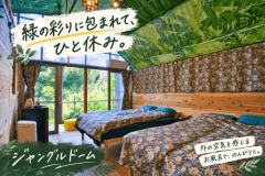 緑の彩りに包まれて、ひと休み。