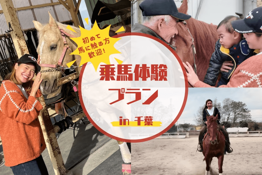 【リゾートヴィラ/1人当たり】初心者歓迎！人懐っこい馬たちがお待ちしています♪乗馬体験アクティビティプラン（素泊まり）