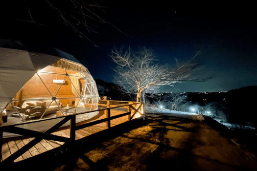 【2ベッド】スタンダードドーム