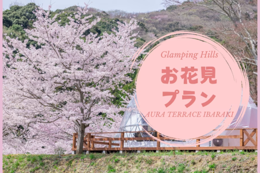 【期間限定】混雑を避けて桜を独り占め！お団子＆お抹茶付きの春を満喫お花見プラン＜素泊まり＞