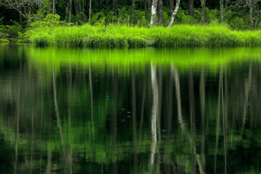 【素泊り】天然温泉と雄大な景色に癒される自由な滞在～自然と調和する贅沢を満喫～