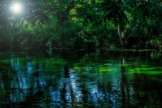 【1泊2食付】＜グルメBBQプラン＞&rdquo;甲州牛&rdquo;や熟成肉ステーキ&rdquo;など山梨の恵みを堪能するグリルディナー～忍野富士を望むプライベート天然温泉で癒されるひととき～
