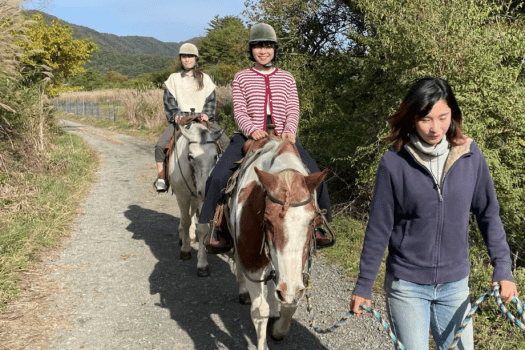 【富士山の麓で楽しむ乗馬アクティビティ付き】おとなしくて可愛い馬たちがお待ちしてます♪乗馬がセットになった宿泊プラン（素泊まり/1人当たり料金）