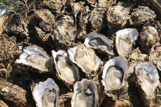 【11月以降のご予約／伊勢志摩の旬♪口いっぱいに広がる海の恵み】三重県産&rdquo;浦村かき&rdquo;を味わう、牡蠣のカンカン焼き付き｜BBQグランピング〈1泊2食〉