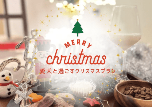 ワンちゃんと特別なクリスマスを過ごしませんか？