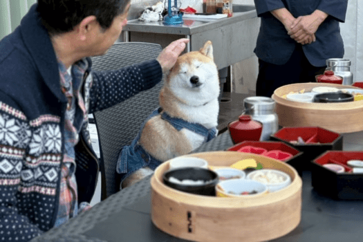 テラスで朝食（お部屋でもお召し上がりいただけます）