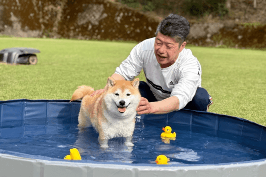 ■夏は離宮伊勢でcoolに！専用のプールを春夏限定でご用意中♪