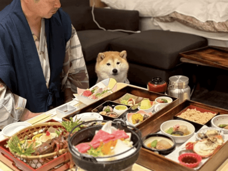 ■お食事はお部屋でゆったり ■お食事はお部屋でゆったり