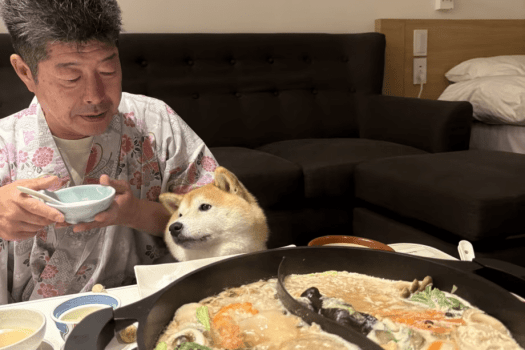 ■ワンちゃん連れもOK♪お部屋の中であったかグランピング! ■ワンちゃん連れもOK♪お部屋の中であったかグランピング!