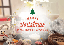 ワンちゃんと特別なクリスマスを過ごしませんか？