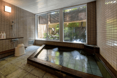 【禁煙】享保年間から続く宿　和室12畳トイレ付